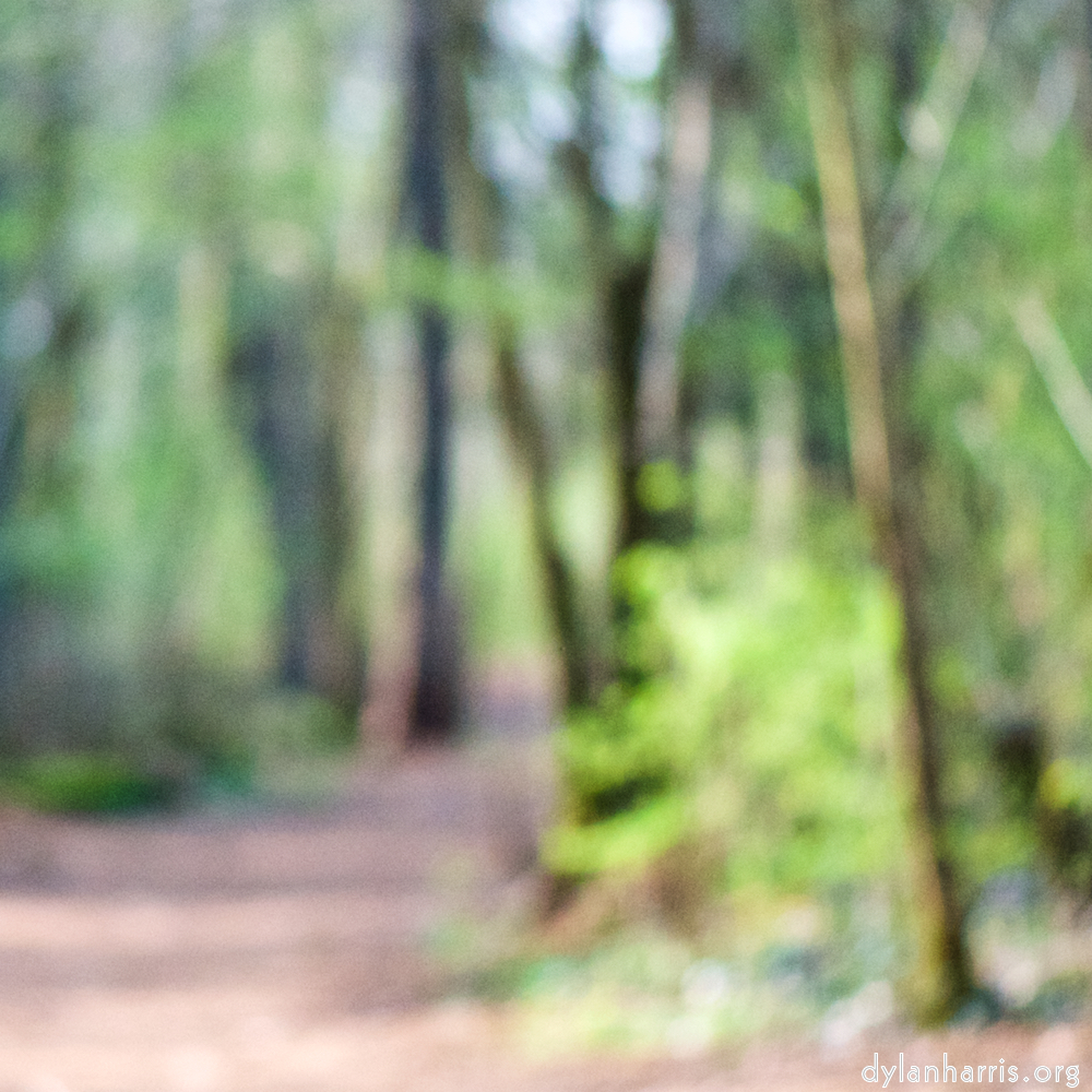 image: Voici &lsquo;fleurs d&rsquo;esch (cxxiv) 2&rsquo;.