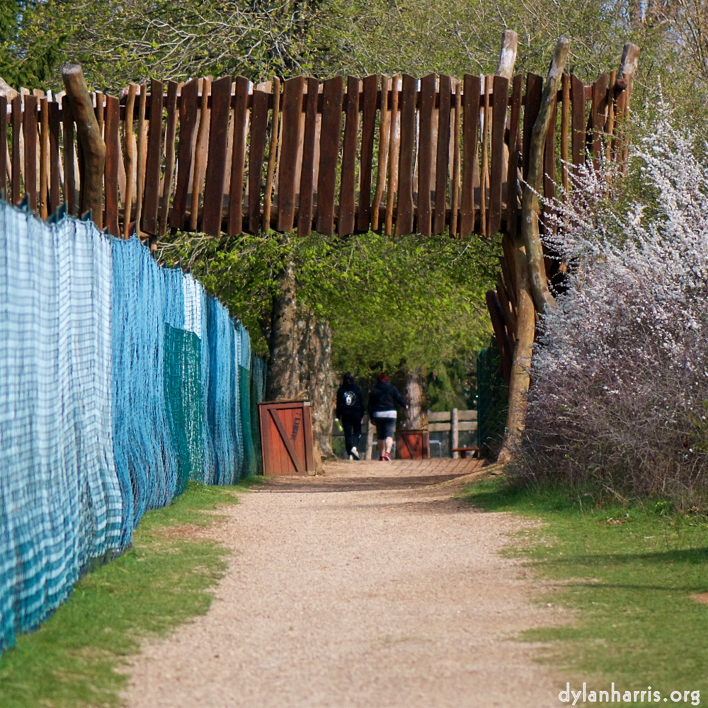 image: Voici &lsquo;fleurs d&rsquo;esch (cxxiv) 5&rsquo;.