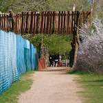 image: Image du photoset &lsquo;fleurs d&rsquo;esch (cxxiv)&rsquo;.