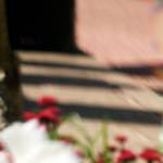 image: Image von das photoset <<abstrakt (iv)>>.