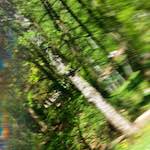 image: Image von das photoset <<abstrakt (iv)>>.