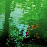 image: Image from the photoset &lsquo;brugge (i)&rsquo;.