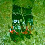 image: Image from the photoset &lsquo;brugge (i)&rsquo;.