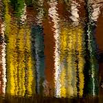 Third image from the photoset 'leiden (i)'.