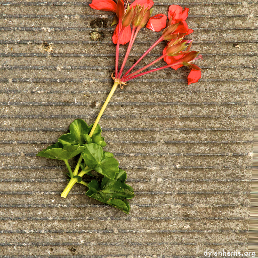 Image 'brugge (iv) 9'.