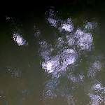 Fourth image from the photoset 'brugge (iv)'.