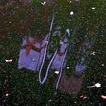 Eighth image from the photoset 'brugge (iv)'.