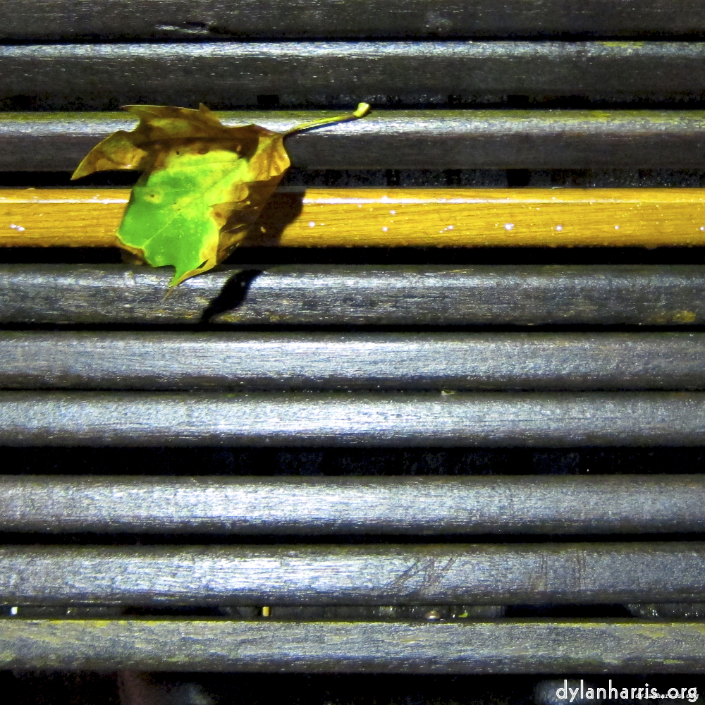 Image: Image 'brugge (vi) 6'.