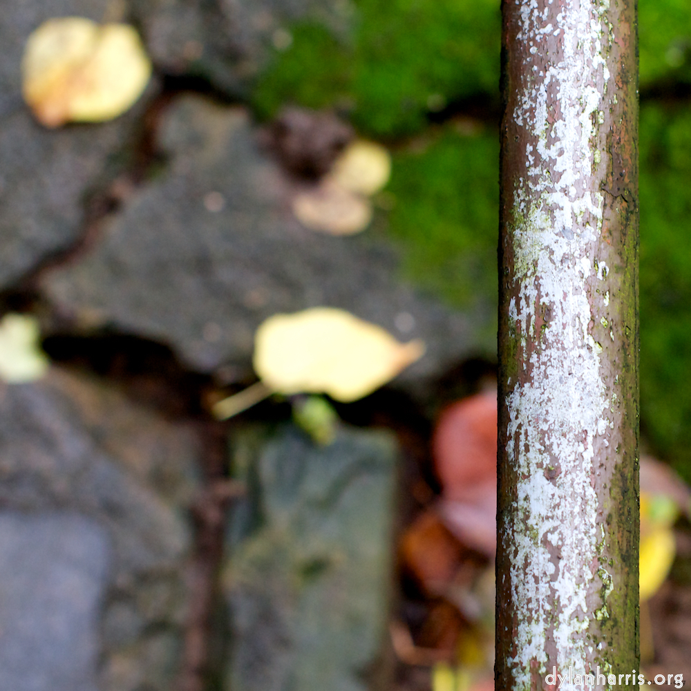 Image 'parc (xii) 3'.