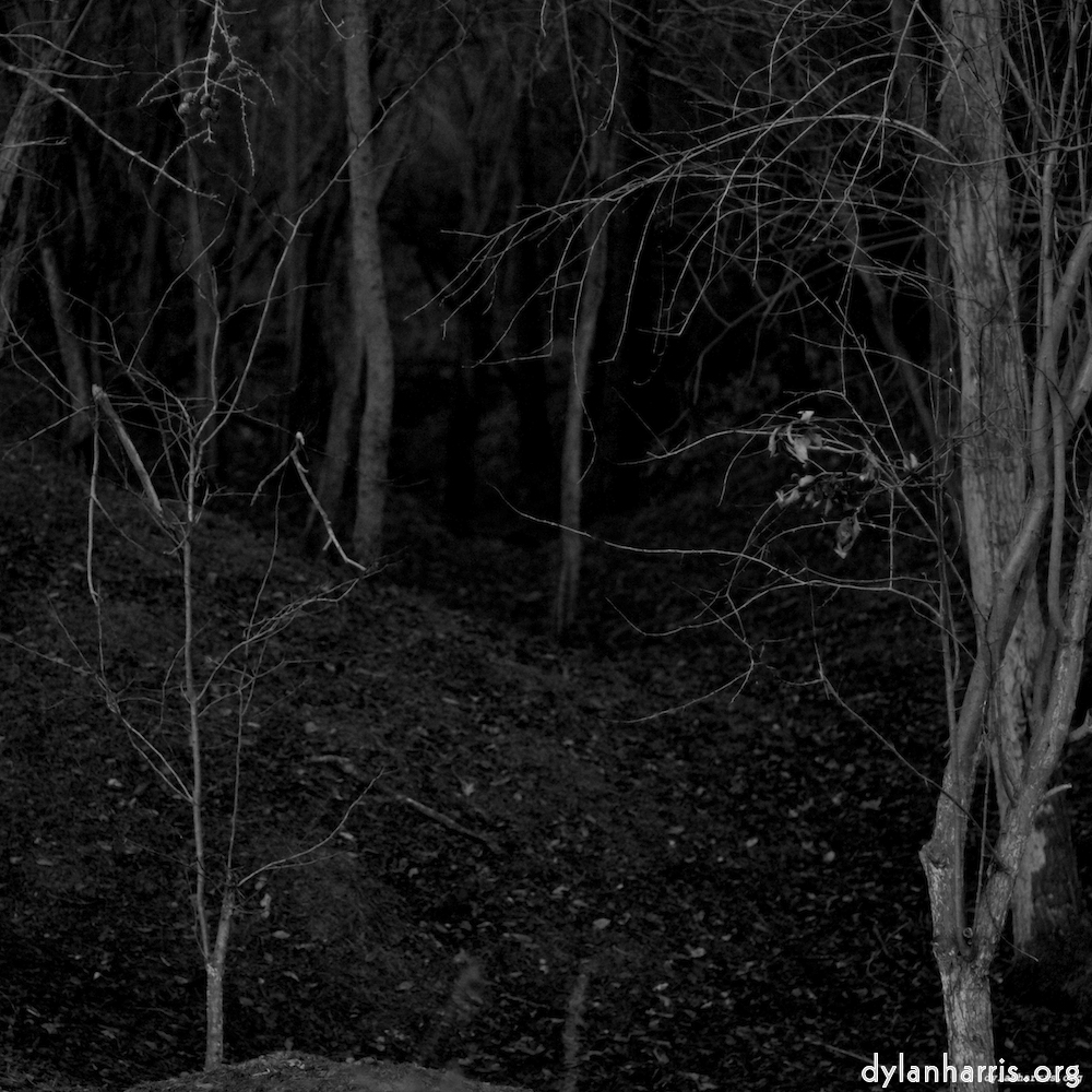 image: This is &lsquo;irchester 3&rsquo;.