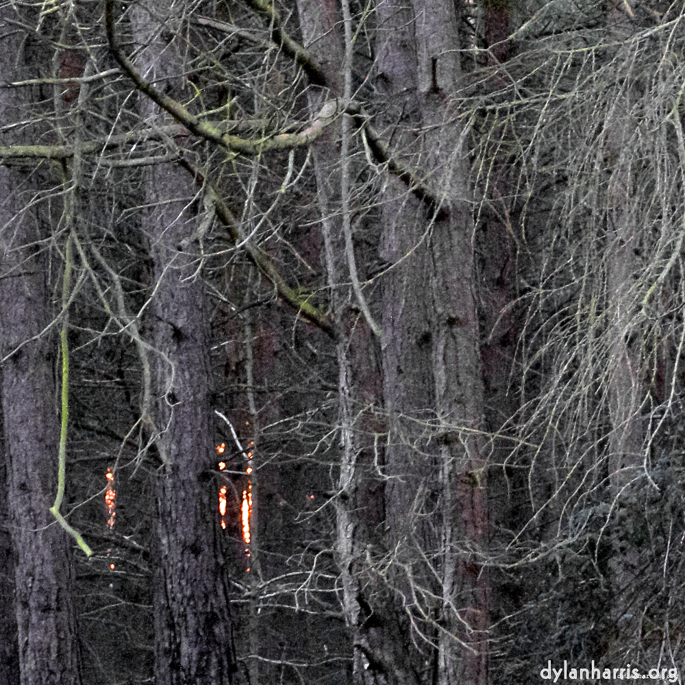 image: This is &lsquo;irchester 9&rsquo;.