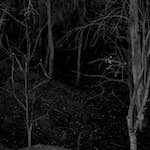 image: Image from the photoset &lsquo;irchester&rsquo;.