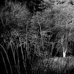 image: Image from the photoset &lsquo;irchester&rsquo;.