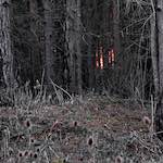 image: Image from the photoset &lsquo;irchester&rsquo;.