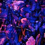 image: Image from the photoset &lsquo;irchester&rsquo;.