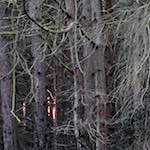 image: Image from the photoset &lsquo;irchester&rsquo;.