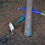 Fifth image from the photoset 'claire'.