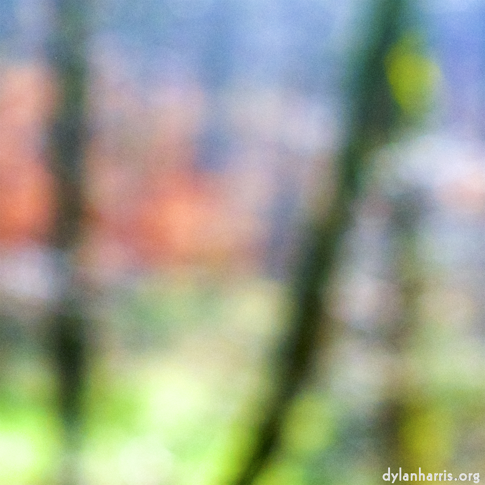 image: This is &lsquo;wood (xxvi) 2&rsquo;.