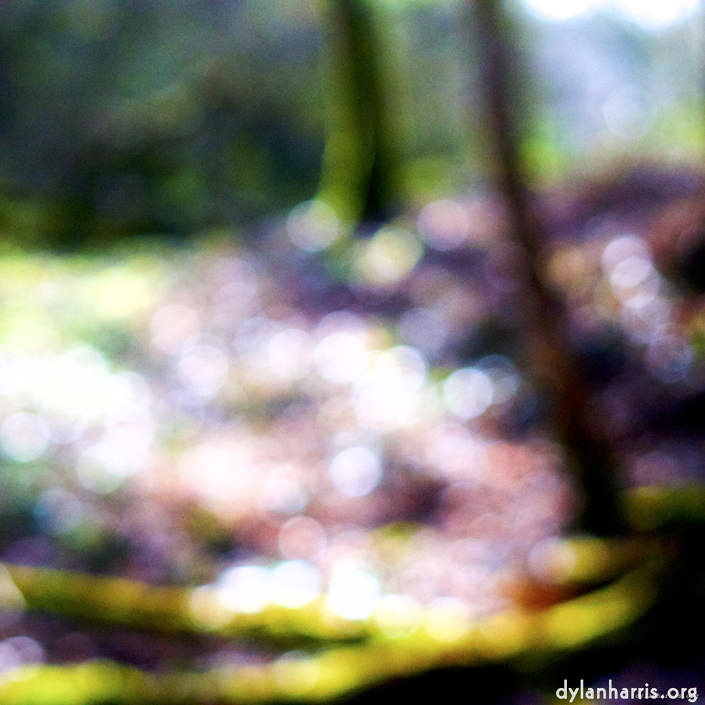 Image: Image 'wood (xxvi) 3'.