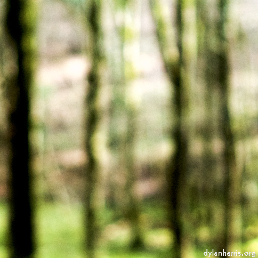 Image: Image 'wood (xxvi) 4'.