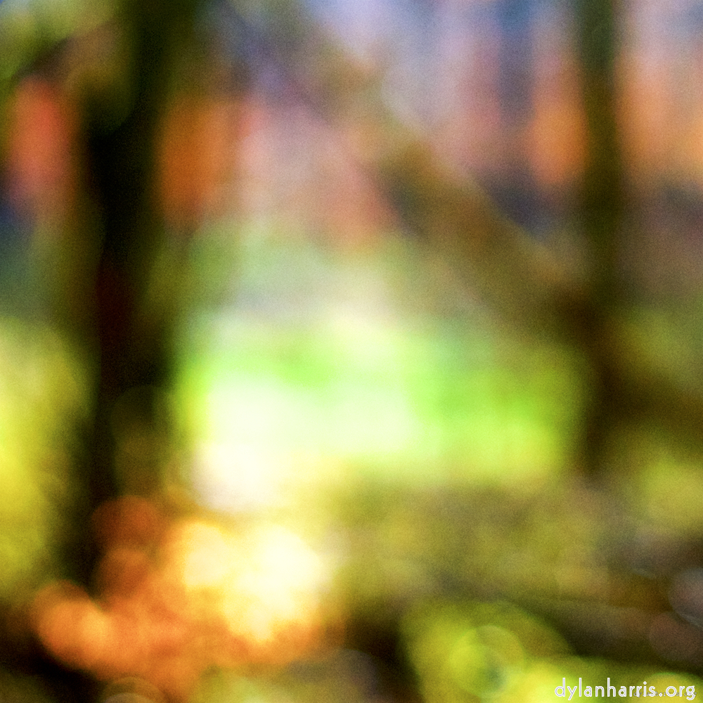 Image: Image 'wood (xxvi) 5'.