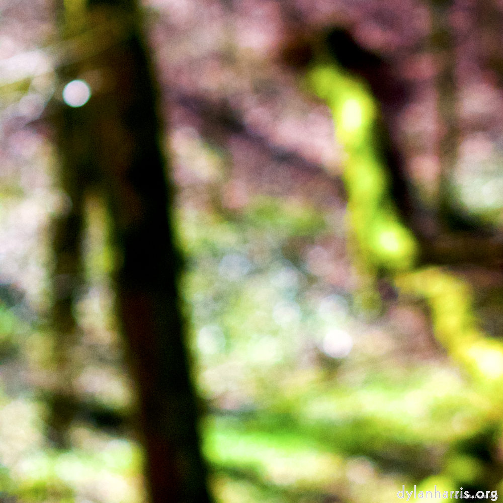 image: This is &lsquo;wood (xxvi) 6&rsquo;.