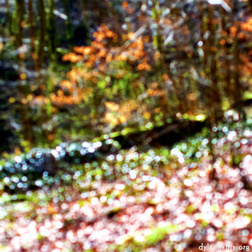 Image: Image 'wood (xxvii) 2'.