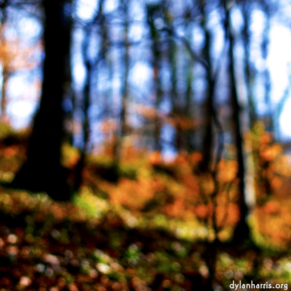 Image: Image 'wood (xxvii) 4'.