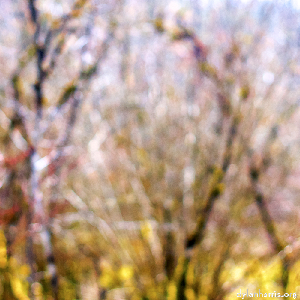 image: This is &lsquo;wood (xxviii) 3&rsquo;.