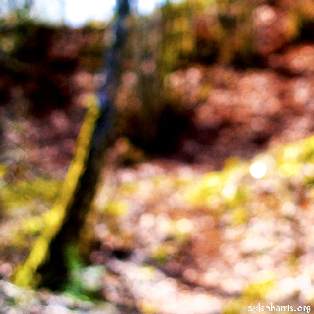 image: This is &lsquo;wood (xxix) 1&rsquo;.