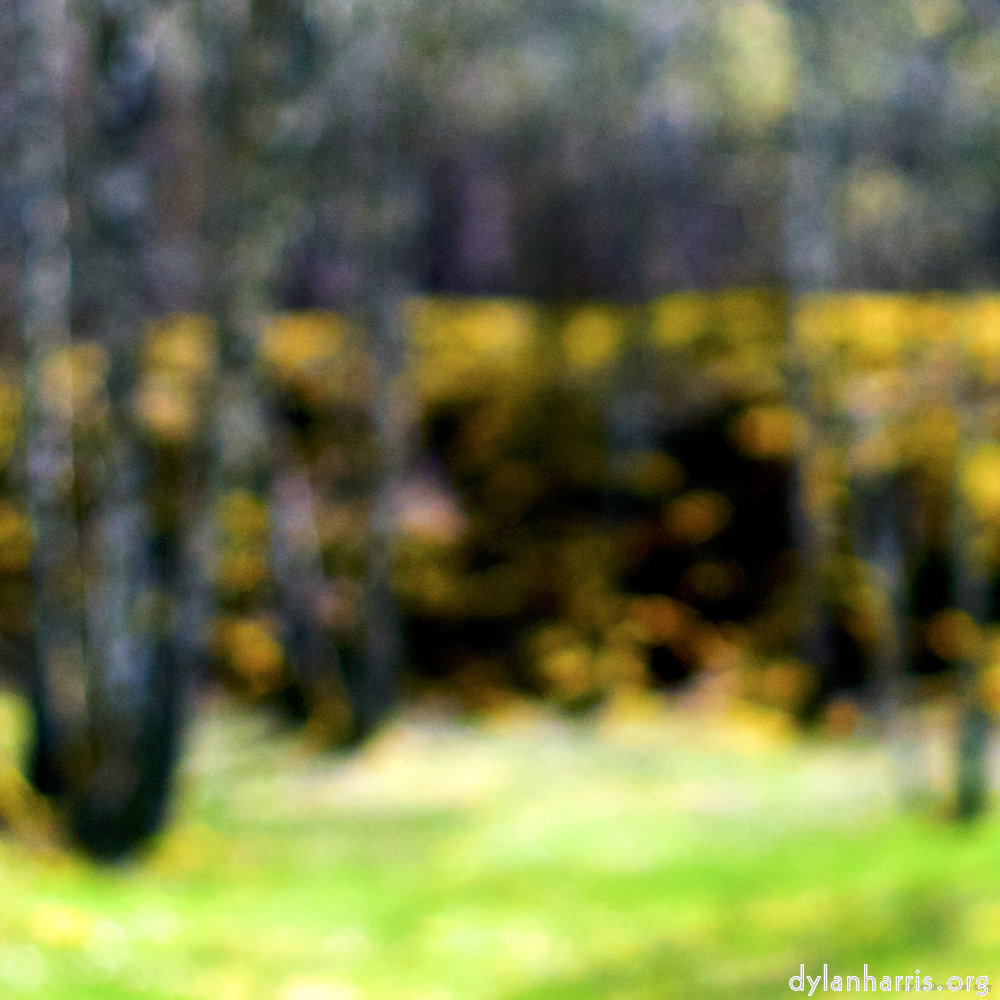 image: This is &lsquo;wood (xxix) 5&rsquo;.