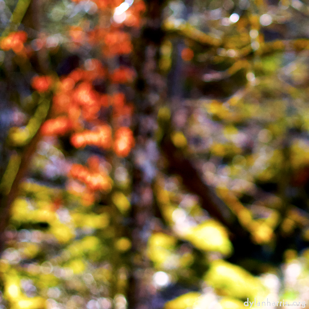 image: This is &lsquo;wood (xxix) 6&rsquo;.