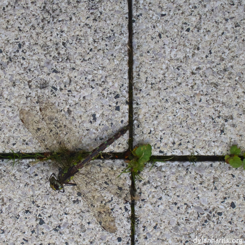 image: This is &lsquo;way to work (vii) 3&rsquo;.