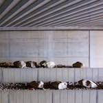 image: Image from the photoset &lsquo;way to work (vii)&rsquo;.