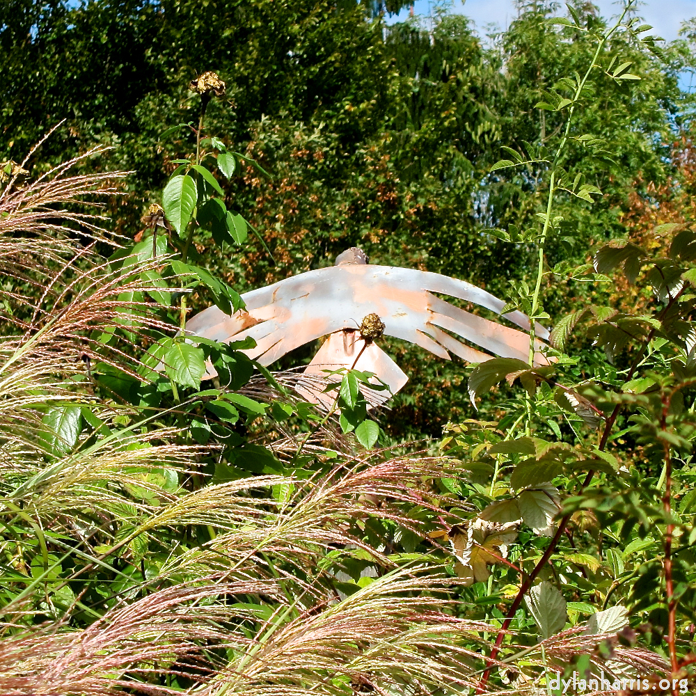 Image: Image 'larochette 2'.