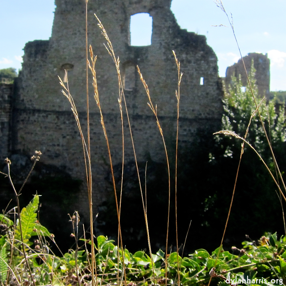 Image: Image 'larochette 3'.