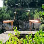 Image: Fifth image from the photoset 'larochette'.