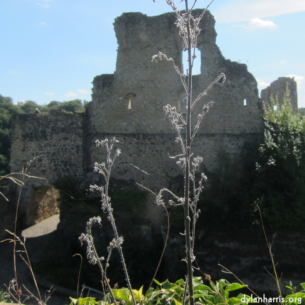 image: This is &lsquo;larochette 4&rsquo;.