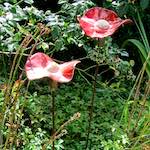 Image: Sixth image from the photoset 'larochette'.