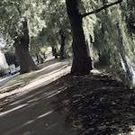 First image from the photoset 'water (ii)'.