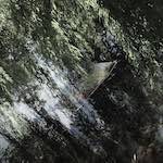 Eighth image from the photoset 'water (ii)'.