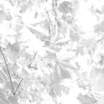 Image: dublin (viii) photoset