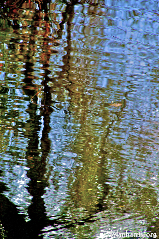 Image 'water (iii) 3'.