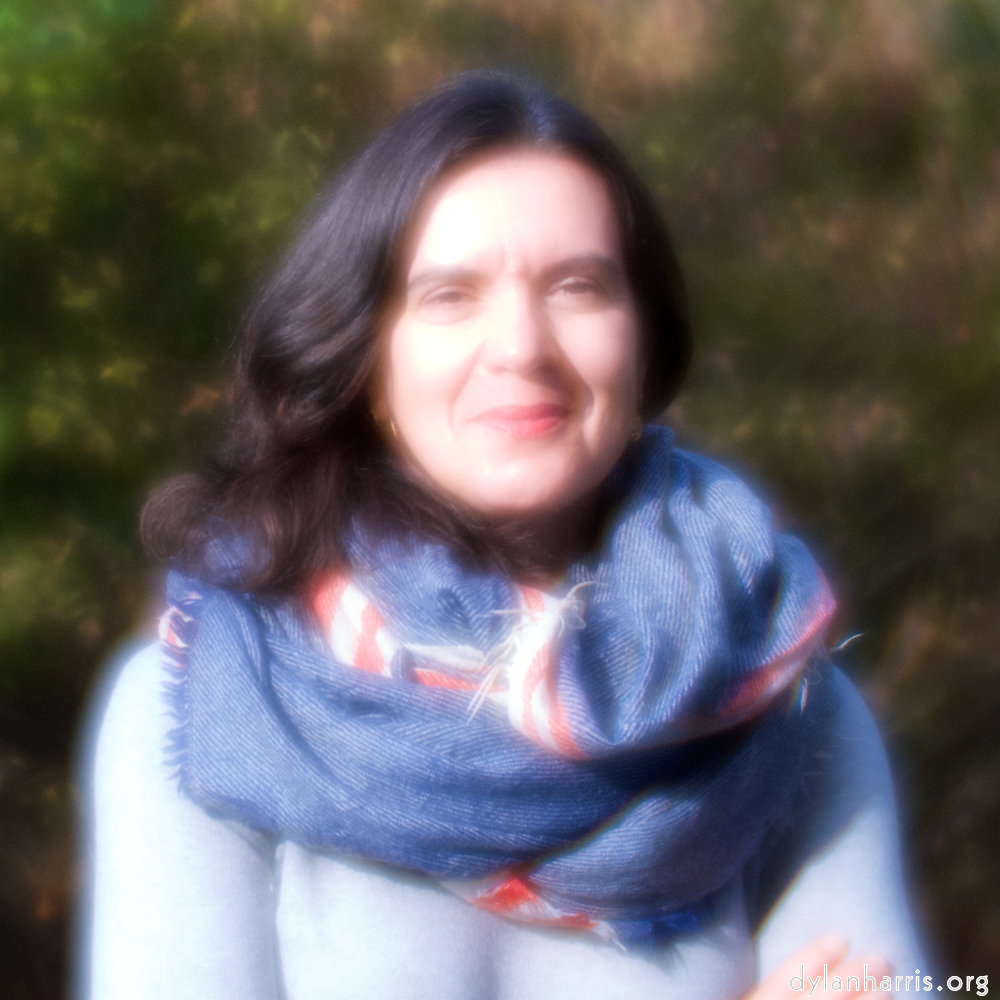 image: This is &lsquo;AN 6&rsquo;.