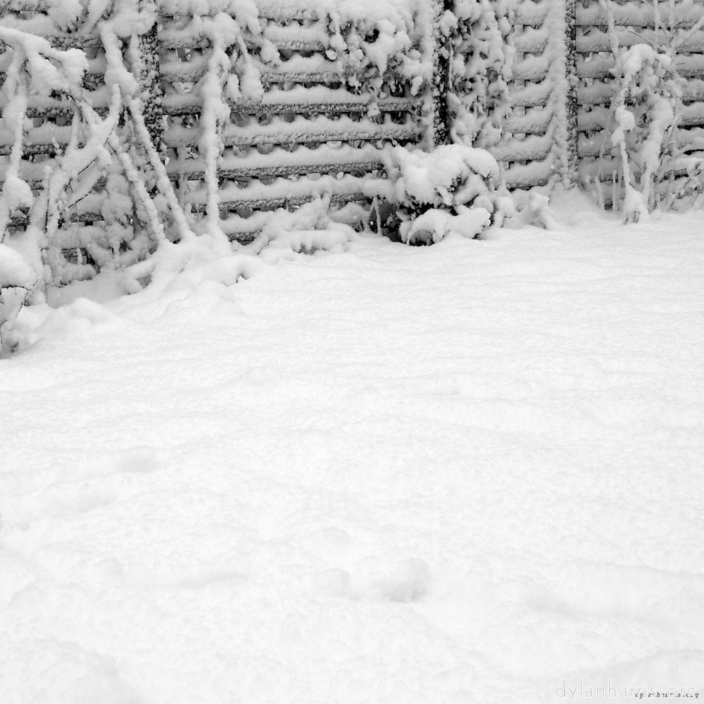 image: This is &lsquo;montmartre (xii) 3&rsquo;.