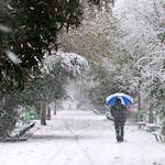 image: Image from the photoset &lsquo;montmartre (xii)&rsquo;.