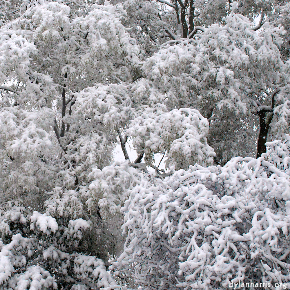 image: This is &lsquo;montmartre (xiii) 4&rsquo;.