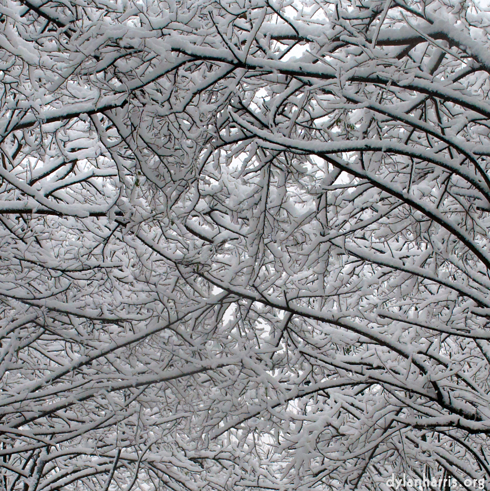 image: This is &lsquo;montmartre (xiii) 5&rsquo;.