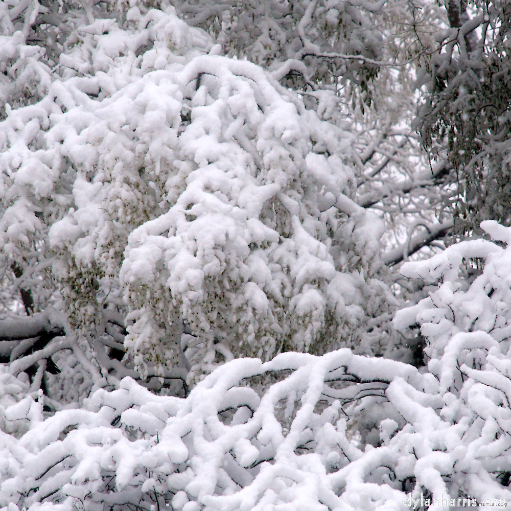 image: This is &lsquo;montmartre (xiii) 6&rsquo;.