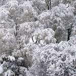 image: Image from the photoset &lsquo;montmartre (xiii)&rsquo;.